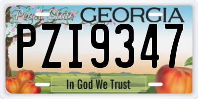 GA license plate PZI9347