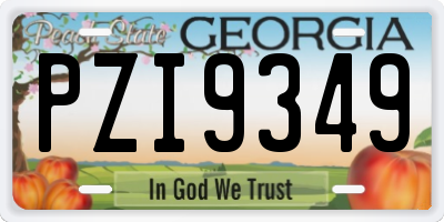 GA license plate PZI9349