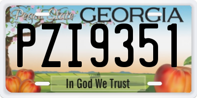 GA license plate PZI9351