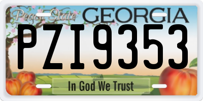 GA license plate PZI9353