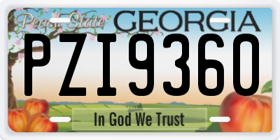 GA license plate PZI9360