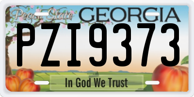 GA license plate PZI9373