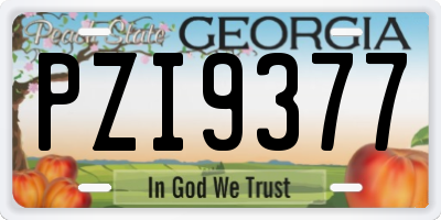 GA license plate PZI9377