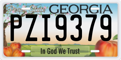 GA license plate PZI9379