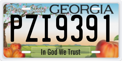 GA license plate PZI9391