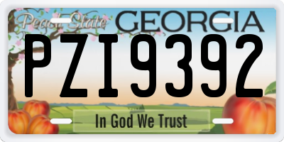 GA license plate PZI9392
