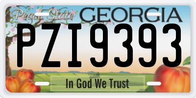 GA license plate PZI9393