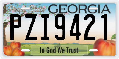 GA license plate PZI9421