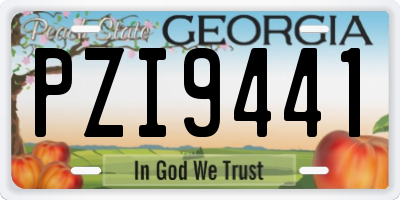 GA license plate PZI9441