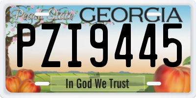 GA license plate PZI9445
