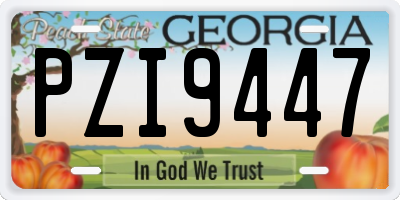 GA license plate PZI9447