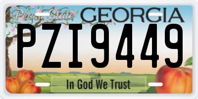 GA license plate PZI9449