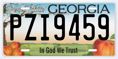 GA license plate PZI9459