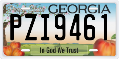 GA license plate PZI9461