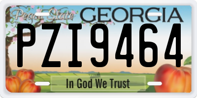 GA license plate PZI9464