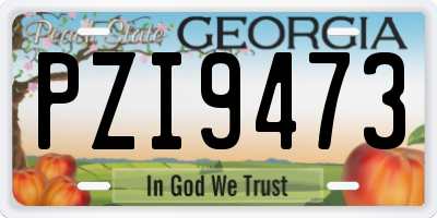 GA license plate PZI9473