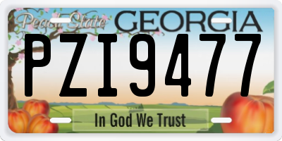GA license plate PZI9477