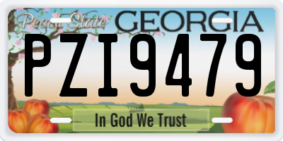 GA license plate PZI9479