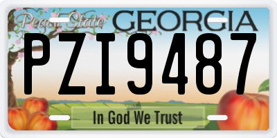 GA license plate PZI9487