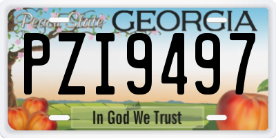 GA license plate PZI9497