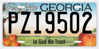 GA license plate PZI9502