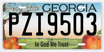 GA license plate PZI9503