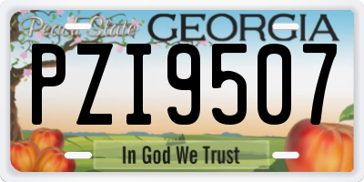 GA license plate PZI9507