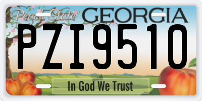 GA license plate PZI9510