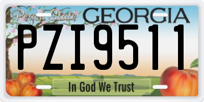 GA license plate PZI9511