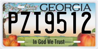 GA license plate PZI9512