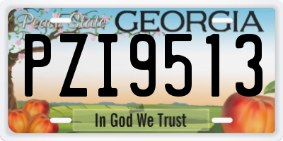 GA license plate PZI9513