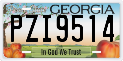 GA license plate PZI9514