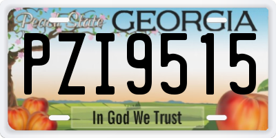 GA license plate PZI9515