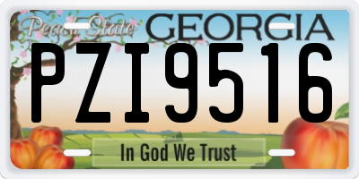 GA license plate PZI9516