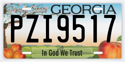 GA license plate PZI9517
