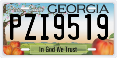 GA license plate PZI9519