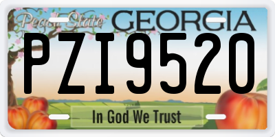 GA license plate PZI9520