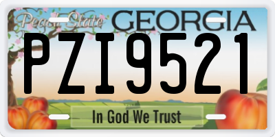 GA license plate PZI9521