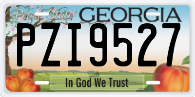 GA license plate PZI9527