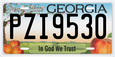 GA license plate PZI9530