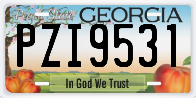 GA license plate PZI9531