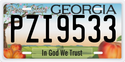 GA license plate PZI9533