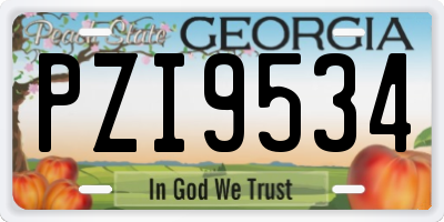 GA license plate PZI9534