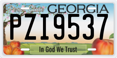 GA license plate PZI9537