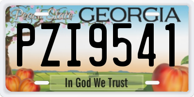 GA license plate PZI9541