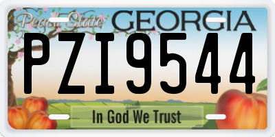 GA license plate PZI9544