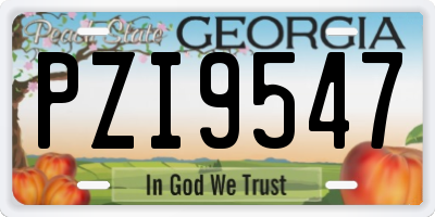 GA license plate PZI9547