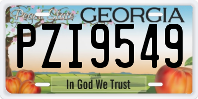 GA license plate PZI9549