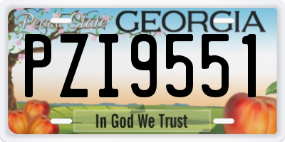 GA license plate PZI9551
