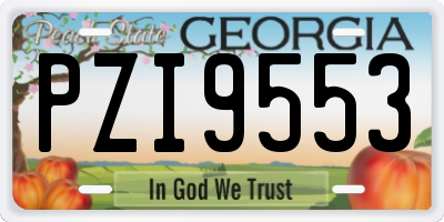 GA license plate PZI9553